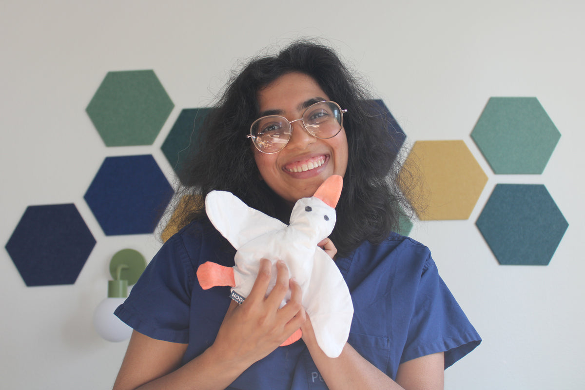 Hodgepodge wearing blue scrubs, holding a white plush goose with orange beak and feet in front of a wall decorated with green, blue, and yellow hexagonal panels.